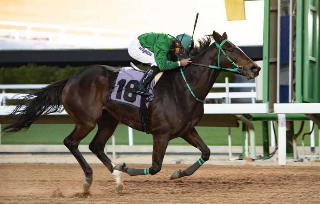 نادي سباقات الخيل يصدر قائمةً مبدئيةً لكأسي خادم الحرمين الشريفين لخيلي لإنتاج المحلي والمفتوح