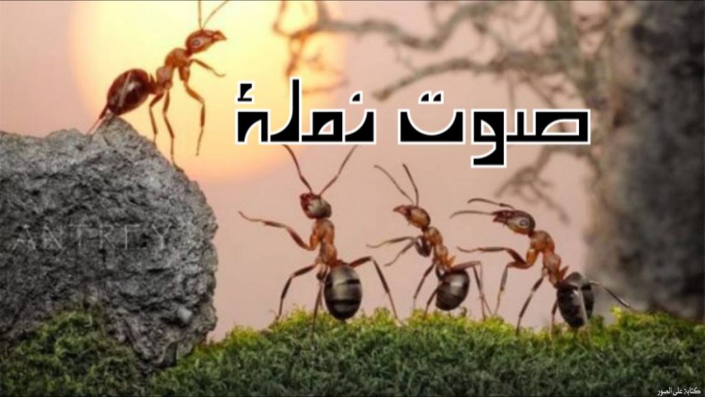 صوت نملة