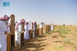 سمو الأمير تركي بن محمد بن فهد يتفقد محمية الملك خالد الملكية ويطلق عددًا من المبادرات البيئية