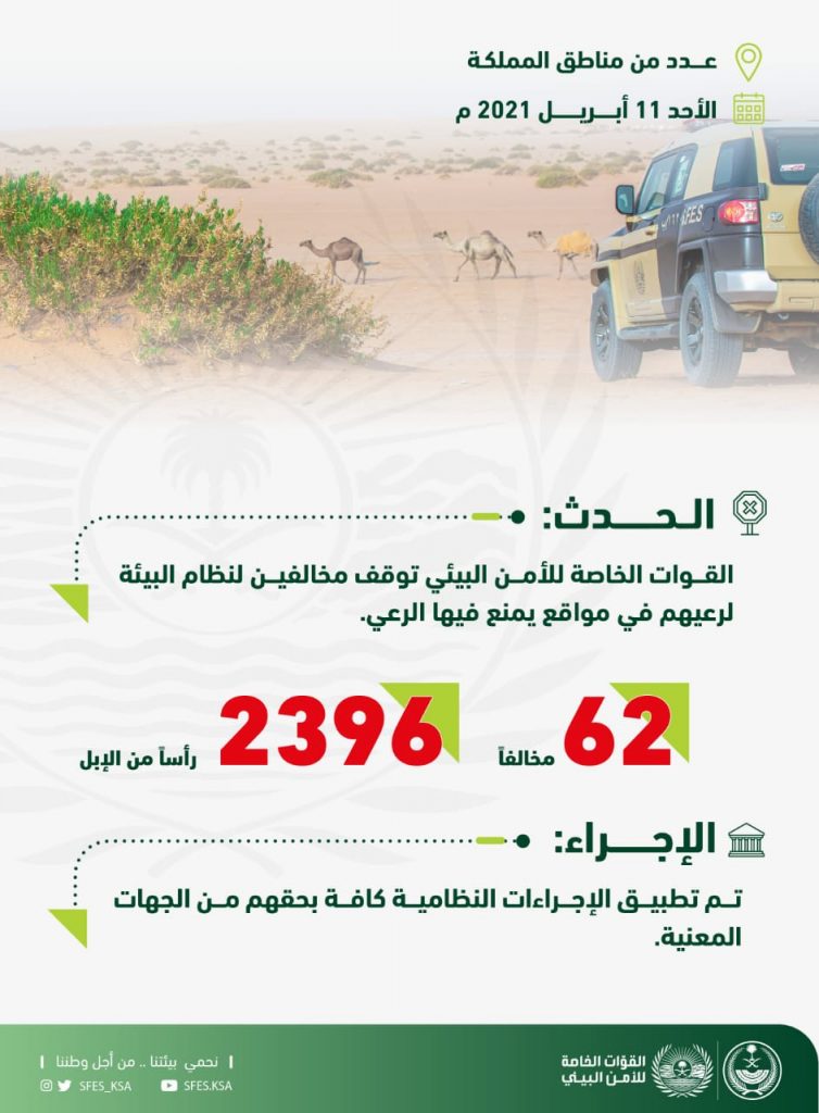 القوات الخاصة للأمن البيئي توقف (62) مخالفًا لنظام البيئة لارتكابهم مخالفات رعي
