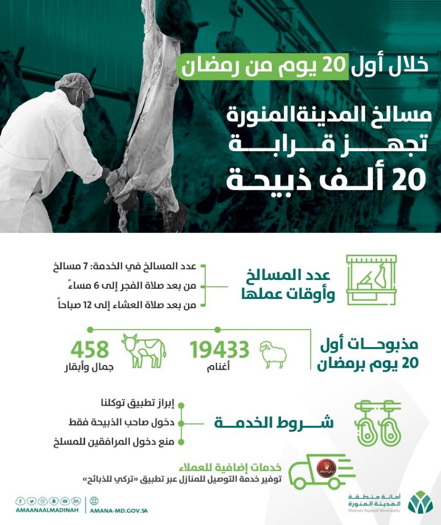 مسالخ المدينة المنورة تستقبل ٢٠ ألف رأس من الأنعام