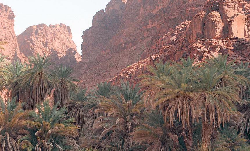 “وادي الديسة” يعد من أهم المرتكزات الطبيعة لمشروع نيوم