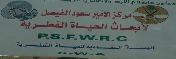 مركز الأمير سعود الفيصل لأبحاث الحياة الفطرية بالطائف يسهم في إعادة التوازن البيئي