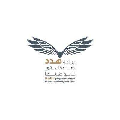 في اليوم العالمي للطيور المهاجرة.. جهود سعودية لإعادة الصقور إلى مواطنها
