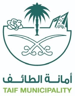 أمانة الطائف تنفذ 12 ألف جولة رقابية وتغلق 13 مرفقًا مخالفًا