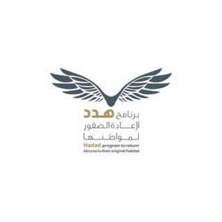 “برنامج هدد” ينجح في إعادة إحياء 28 (ماكر) نتج عنه 60 فرخا من الصقور المهددة بالانقراض في المملكة