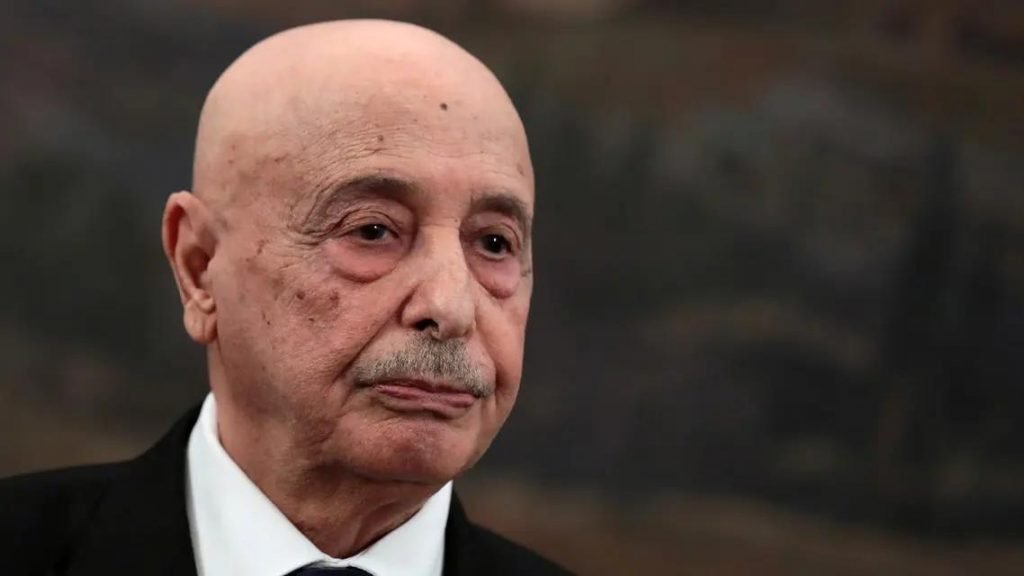 رئيس مجلس النواب الليبي: بناء الدولة الديمقراطية يتطلب انتخابات شفافة ونزيهة