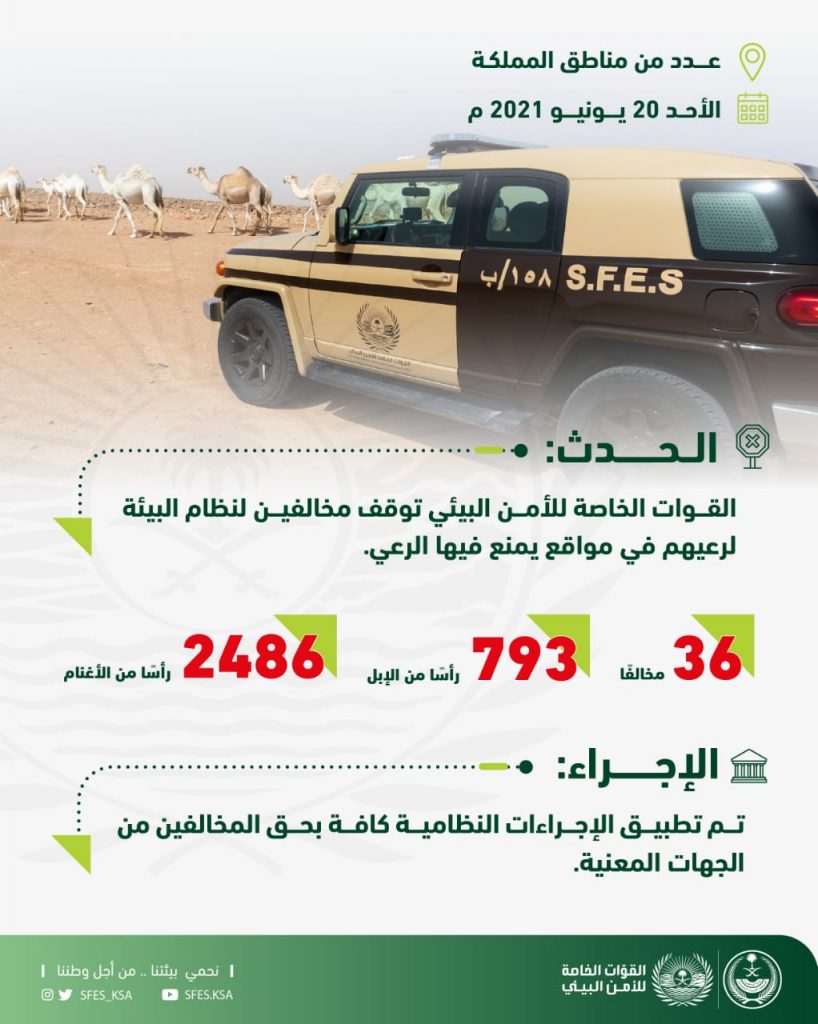 القوات الخاصة للأمن البيئي توقف 36 مخالفًا لنظام البيئة لارتكابهم مخالفات رعي