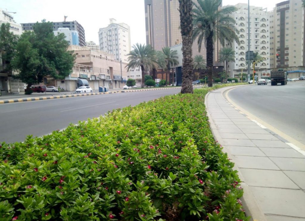 أمانة العاصمة المقدسة تهيء حدائق ومنتزهات مكة المكرمة