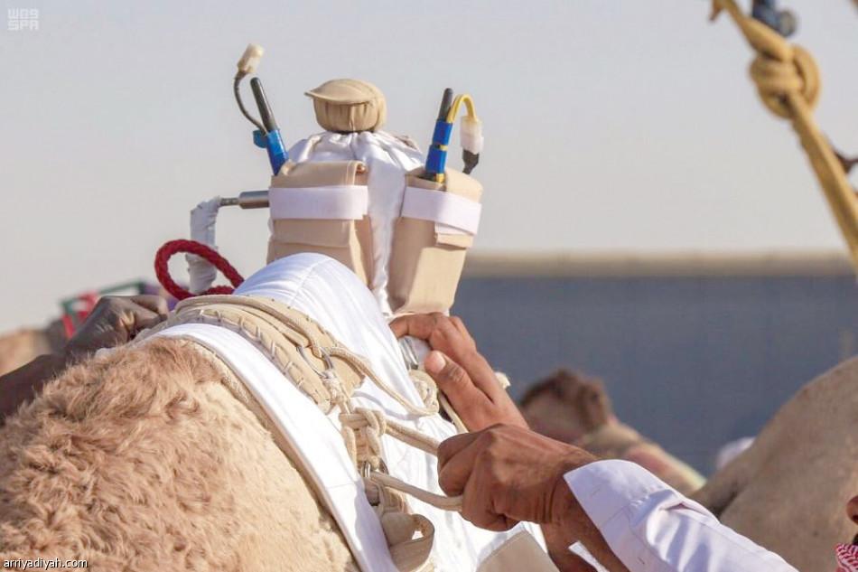 هجن العاصفة تُسيطر على الأشواط المسائية في ثامن أيام مهرجان ولي العهد للهجن3