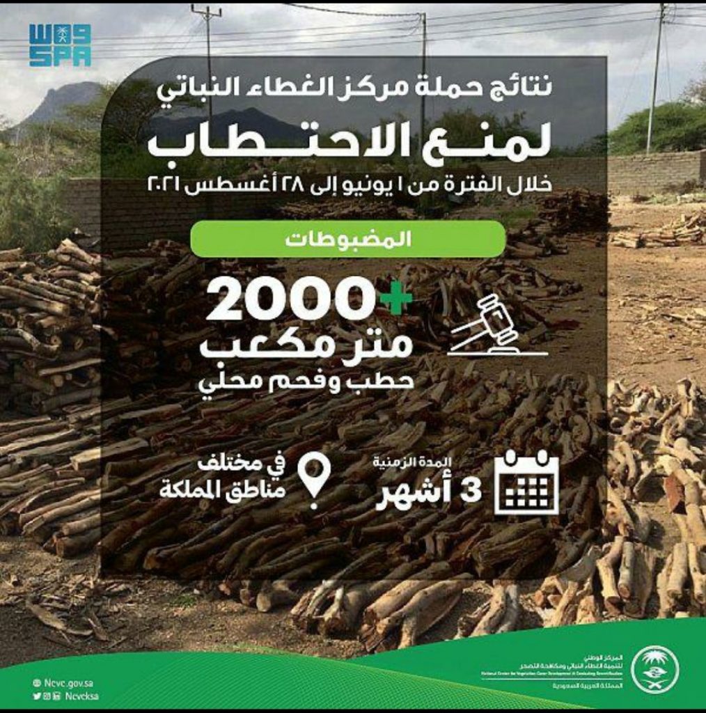 مركز الغطاء النباتي يضبط 2000 متر مكعب من الفحم والحطب المحلي خلال 3 أشهر