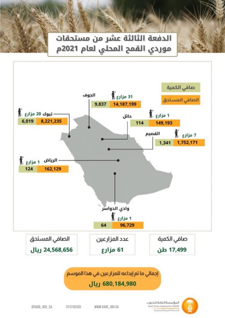 المؤسسة العامة للحبوب تصرف مستحقات الدفعة الثالثة عشر لمزارعي القمح المحلي