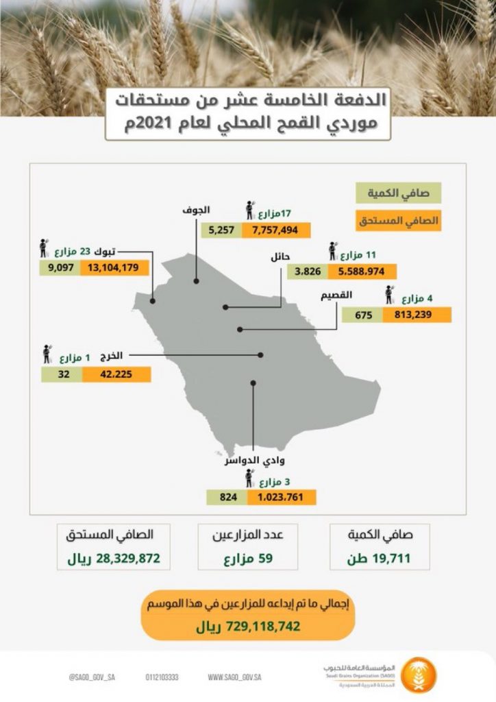 المؤسسة العامة للحبوب تبدأ بصرف مستحقات الدفعة الخامسة عشر لمزارعي القمح المحلي