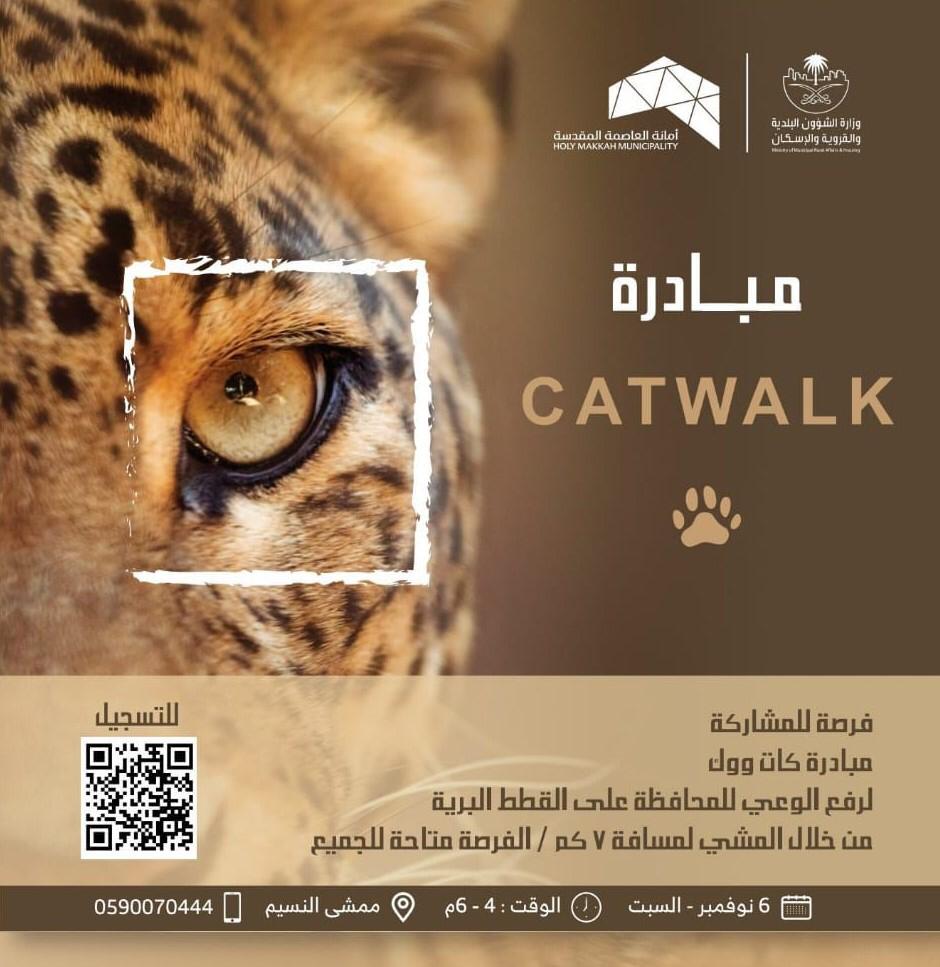 أمانة العاصمة المقدسة تنظم فعالية المشي للحفاظ على القطط البريِّة