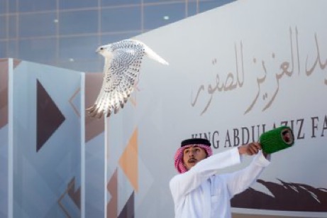 الزعيم “وتوكلنا” أغرب أسماء الصقور بمهرجان الملك عبدالعزيز