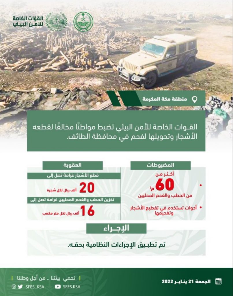 القوات الخاصة للأمن البيئي تضبط مواطنًا مخالفًا لقطعه الأشجار وتحويلها لفحم في الطائف