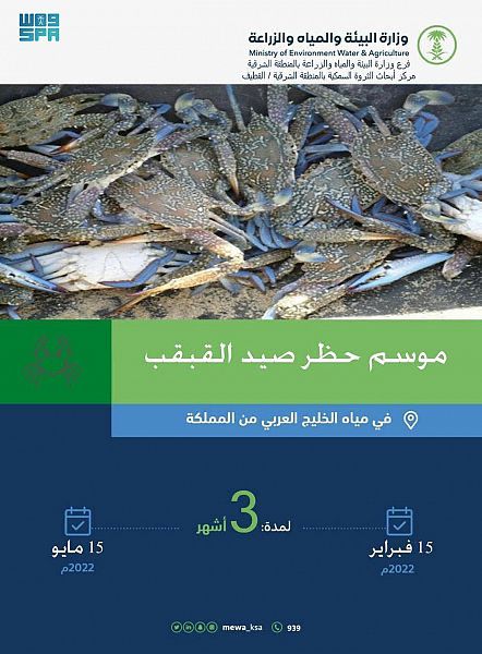 “زراعة الشرقية”: حظر صيد القبقب يبدأ يوم الثلاثاء القادم