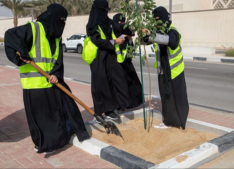زراعة أكثر من 1700 شجرة بمحافظة الخبر