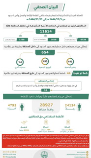 خلال أسبوع .. ضبط 11614 مخالفًا لأنظمة الإقامة والعمل وأمن الحدود