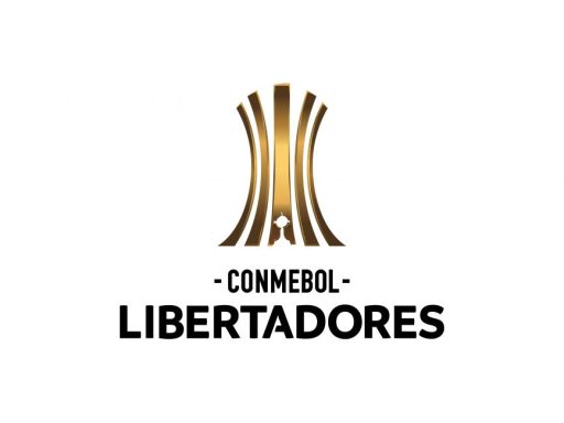 بوتافوجو البرازيلي بطلا لكأس ليبرتادوريس بفوزه على مواطنه أتلتيكو مينيرو 1- 3