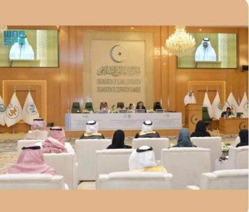 افتتاح أعمال الدورة الـ 22 للهيئة الدائمة لحقوق الإنسان بمنظمة التعاون الإسلامي