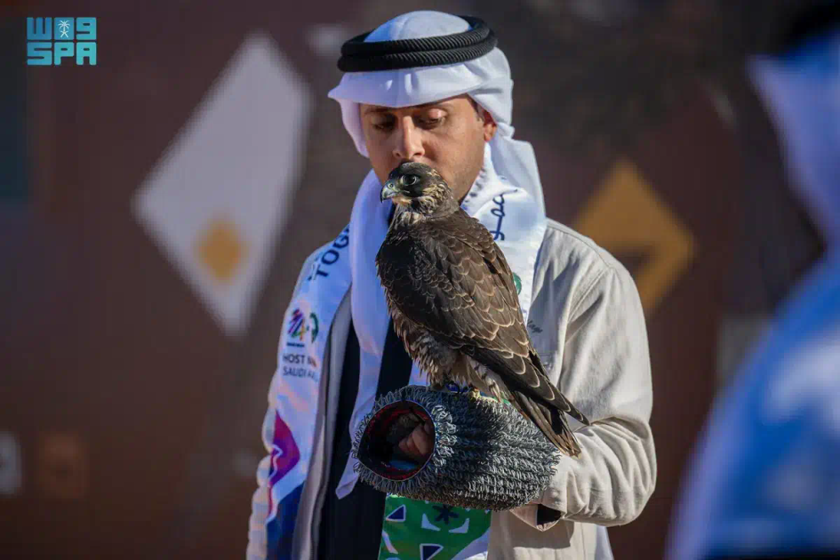 الصقارون الدوليون يتنافسون على الكؤوس في اليوم التاسع لمهرجان الملك عبدالعزيز للصقور 2024