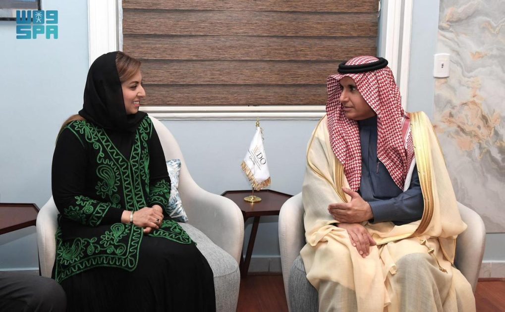 المديرة التنفيذية لمنظمة تنمية المرأة تستقبل مندوب المملكة الدائم لدى جامعة الدول العربية