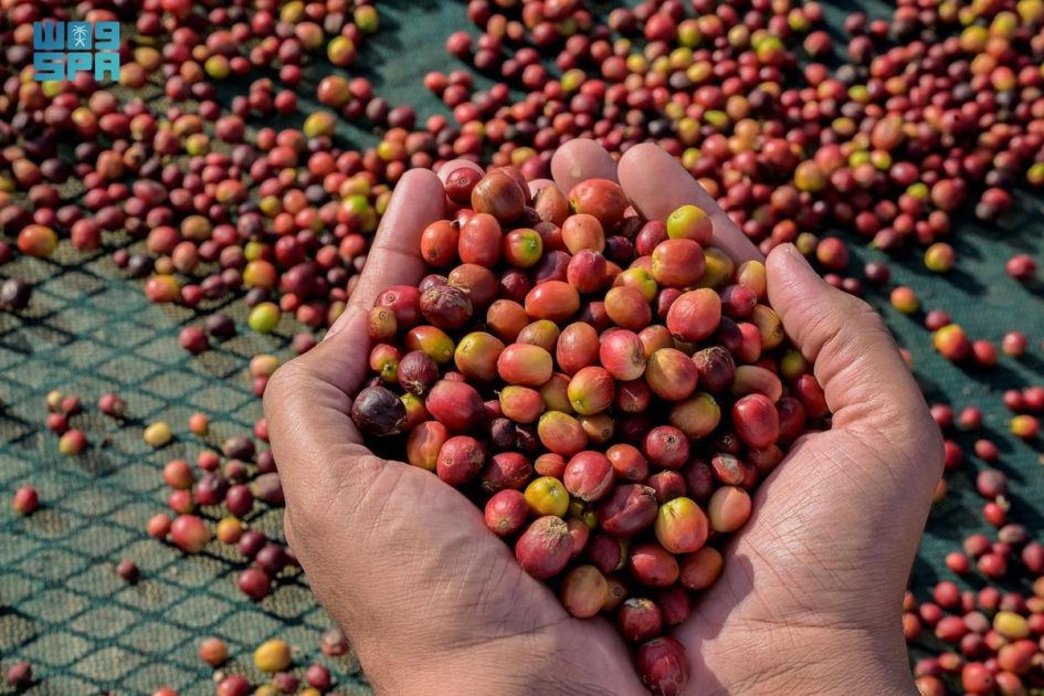 السفرة الرمضانية في الباحة عامرة بـ ” البُنّ الشدوي” والتمر والسمن البلدي