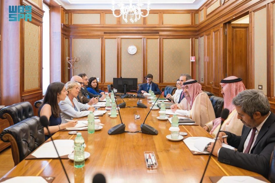 نائب وزير الخارجية يلتقي رئيسة لجنة الشؤون الخارجية والدفاع في مجلس الشيوخ الإيطالي