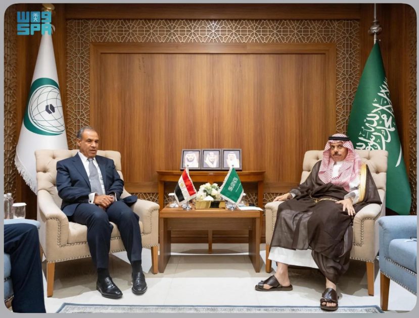 سمو وزير الخارجية يلتقي وزير خارجية مصر
