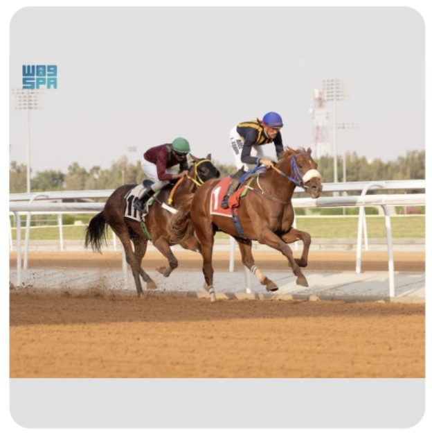 كأس الهدا يفتتح كؤوس موسم سباقات الخيل بالطائف