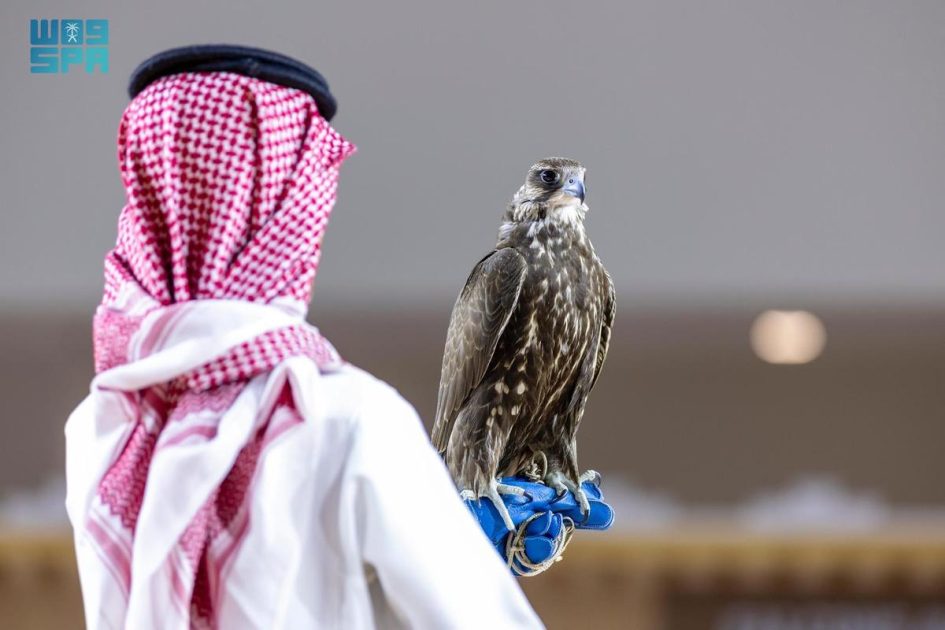 بيع أغلى صقر منغولي بـ 650 ألف ريال في معرض الصقور والصيد السعودي الدولي 2025