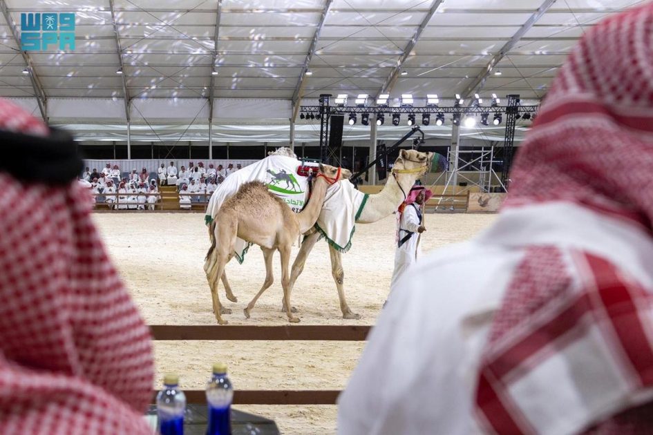 ختام مزاد الهجن بمبيعات وصلت مليون ونصف مليون ريال بمعرض الصقور والصيد السعودي الدولي 2025