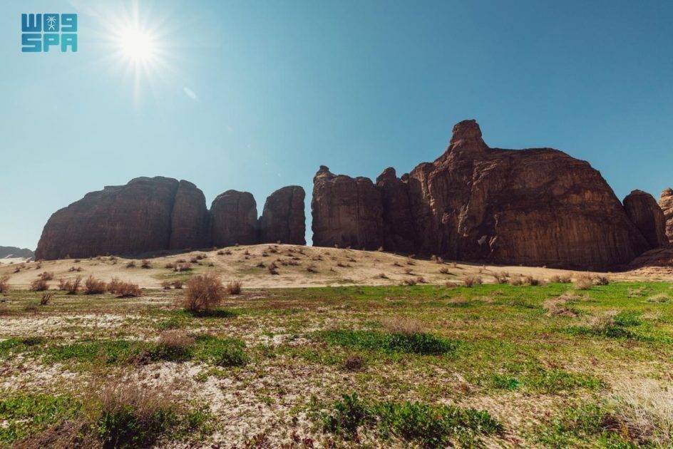 الهيئة الملكية لمحافظة العُلا تحظر أنشطة القيادة المضرة بأراضي الغطاء النباتي