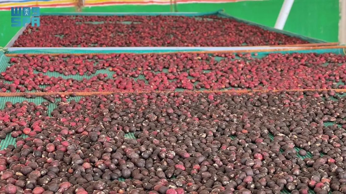 انطلاق مهرجان البن الثالث برجال ألمع الثلاثاء المقبل