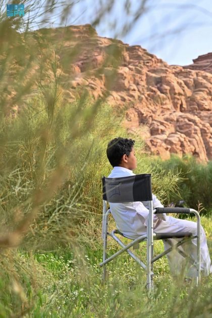 “النجيلة” فيضة ربيعية بمنطقة تبوك تجذب الأهالي والزوار