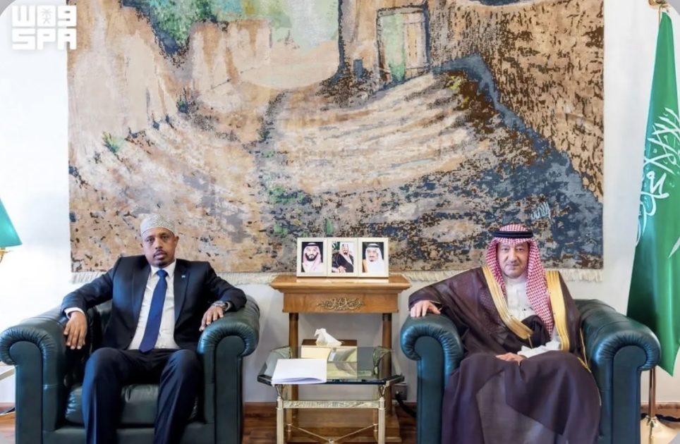 نائب وزير الخارجية يستقبل سفير الصومال لدى المملكة