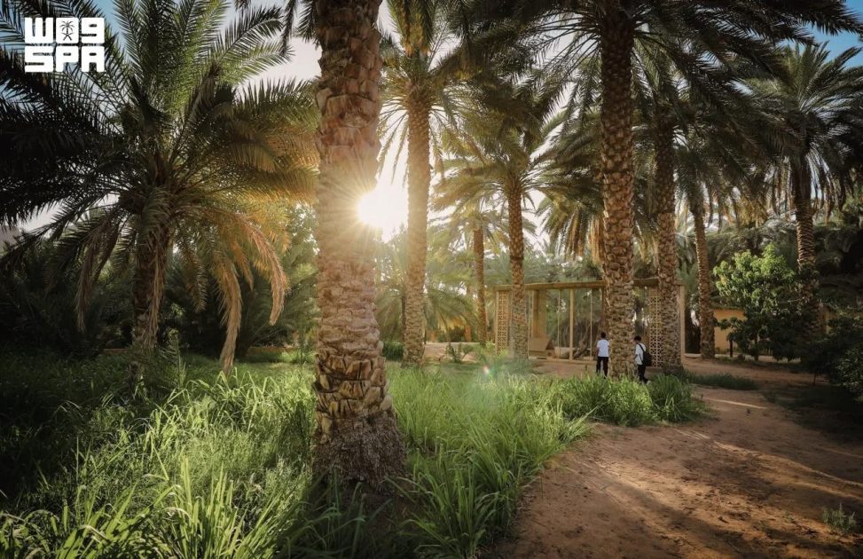 الهيئة الملكية لمحافظة العُلا تطلق موسم “خيرات العُلا”